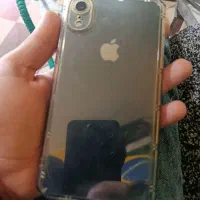 Apple xr|موبایل|شوش, |دیوار