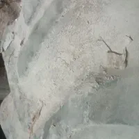 لاستیک رومانی