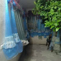 همه نوع و سایز تورپرتابی
