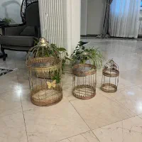 تزئینی قفس