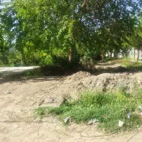 زمین-باغی-فروشی