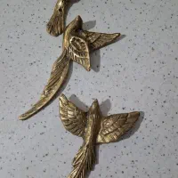 پرستو دیواری برنج اصل