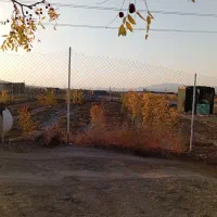 باغ فروشی دشت بجد مدارک مرتب نقد یا معاوضه ماشین|فروش دفتر صنعتی، کشاورزی، تجاری|بیرجند, |دیوار