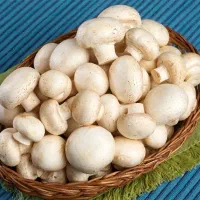 استخدام نیروی برق صنعتی