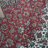 فرش قفس پایه آهنی|فرش|گلبهار, شهر جدید گلبهار|دیوار