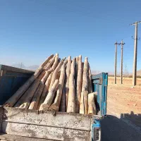 خرید چوب|خدمات باغبانی و درختکاری|اراک, |دیوار