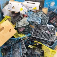 سبد پلاستیکی موزی و کارتن ضایعات|خدمات پیشه و مهارت|تهران, شهرک ابوذر|دیوار
