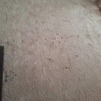 فرش ترک رنگ کرم استخونی برجسته است