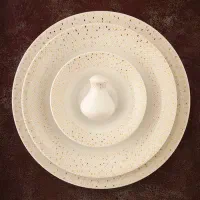 سرویس چینی ۷۰ پارچه چینی زرین درجه عالی