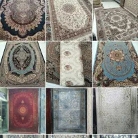 گالری فرش امیر|فرش|سنندج, |دیوار