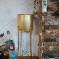 گلدان طلایی