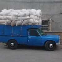 پوشال چوب نراد|لوازم جانبی حیوانات|رستمآباد, |دیوار