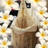 گهواره کنارتختی همراه با پشه بند و سرویس خواب|تخت و سرویس خواب|تهران, خلیج فارس|دیوار