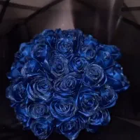 باکس گل ولنتاین|گل مصنوعی|شوش, |دیوار