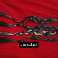 خریدارموی طبیعی|خدمات آرایشگری و زیبایی|نقده, |دیوار