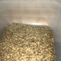 عدس|خوردنی و آشامیدنی|تهران, افسریه شمالی|دیوار