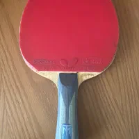 راکت پینگ پنگ مدل Timo boll ALC|ورزش‌های توپی|پلدختر, |دیوار