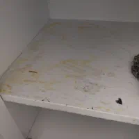 نظافت منزل وغیره|خدمات نظافت|یزد, |دیوار