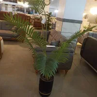 گل خارجی قابل شستشو|گل مصنوعی|سنندج, |دیوار