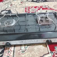 گازدوشعله وپیتنیک