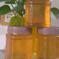 عسل طبیعی کوهستان|خوردنی و آشامیدنی|کرمان, |دیوار