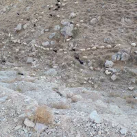 راهنمایی دعا و رفع مشکل میخوام