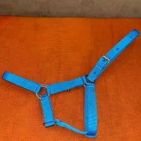 کله گیر  آب خوری اسب و گاو