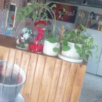 واگذاری کافه با تمام لوازم