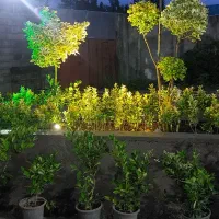 اجاره سوییت و ویلا خانوادگی