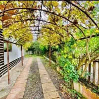 تشریفات مجالس