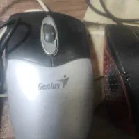 موس|قطعات و لوازم جانبی رایانه|الوند, |دیوار