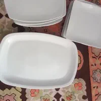 دیس و بشقاب پلوخوری