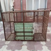 فروش گنجه و درب گنجه|لوازم جانبی حیوانات|شیراز, گلکوب|دیوار