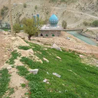 کارت ملی گم شده