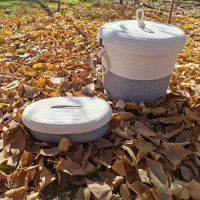 سطل و جا دستمال کاغذی