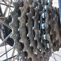 دوچرخه|دوچرخه، اسکیت، اسکوتر|گلبهار, شهر جدید گلبهار|دیوار