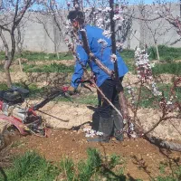 باغبانی گلکاری صفرتاصدهرس درختان کوددهی تیلرزنی|خدمات باغبانی و درختکاری|مشهد, سجاد شهر|دیوار