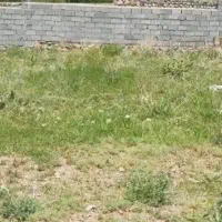 رازبین چسبیده به محدوده