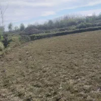 زمین-کشماورزی