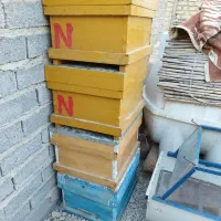 استراکتور شش قاب ، چهارعدد کندوی نو|لوازم جانبی حیوانات|فیروزآباد (فارس), |دیوار