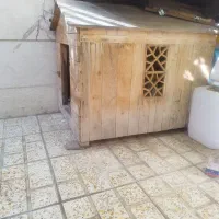 فروش تخت خواب ،لانه سگ|تخت و سرویس خواب|باغستان, |دیوار