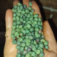 بنه|خوردنی و آشامیدنی|شیراز, حجت آباد|دیوار