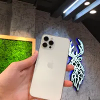 اپل iPhone 12 Pro Max با حافظهٔ ۲۵۶ گیگابایت