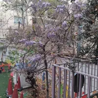 استخدام سرایدار خانم برای مهدکودک