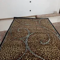 فرش  ۱۲متری|فرش|رامسر, |دیوار