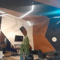 راننده خانم|استخدام حمل و نقل|تهران, نارمک|دیوار