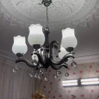 لوستر درحد