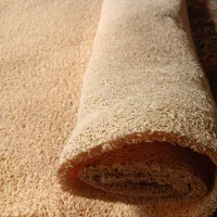 پادری پلاستیکی