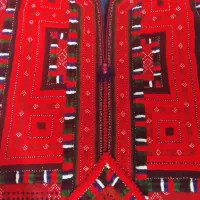 زی استین روبرجوک