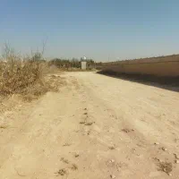 زمین زراعی|فروش دفتر صنعتی، کشاورزی، تجاری|رباطکریم, رباطکریم|دیوار